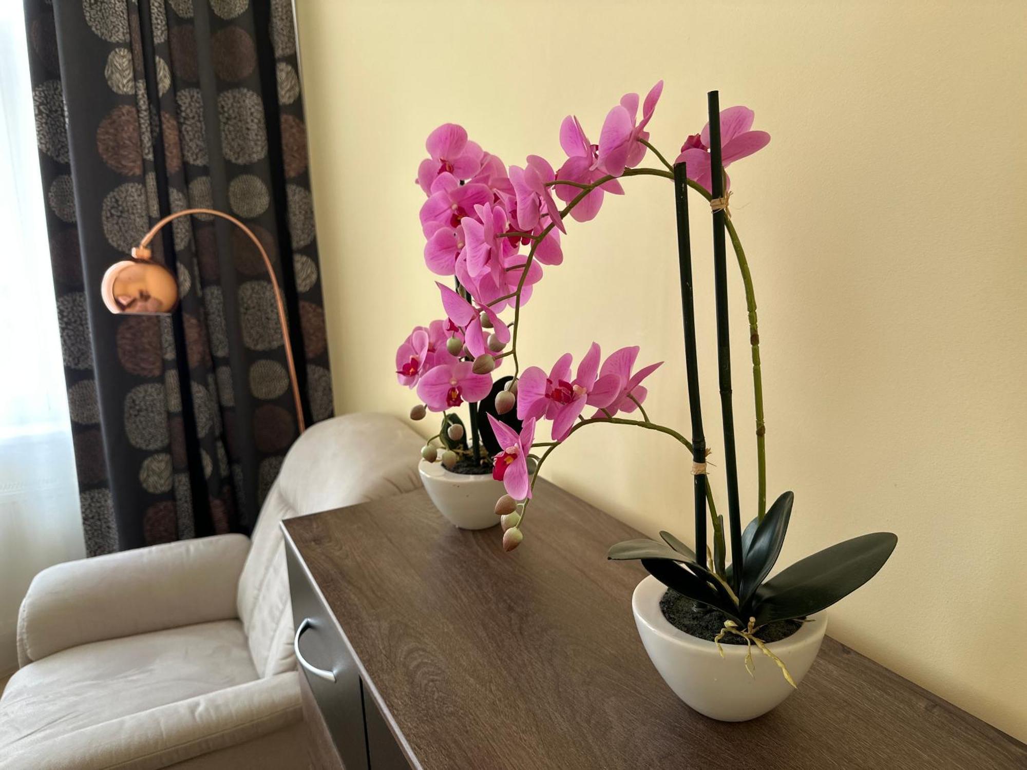 Apartment Zeyerova4 Karlovy Vary Esterno foto