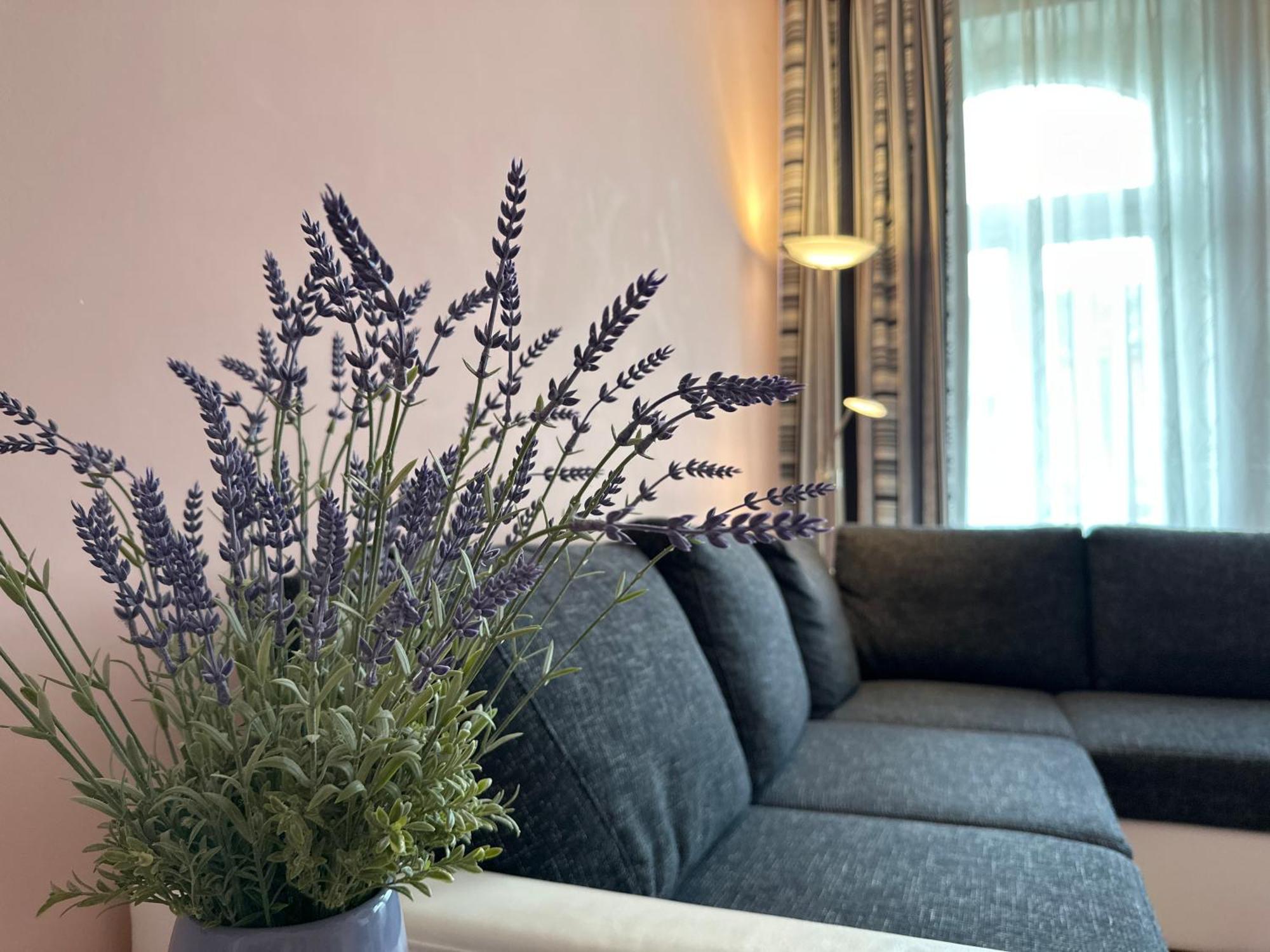 Apartment Zeyerova4 Karlovy Vary Esterno foto